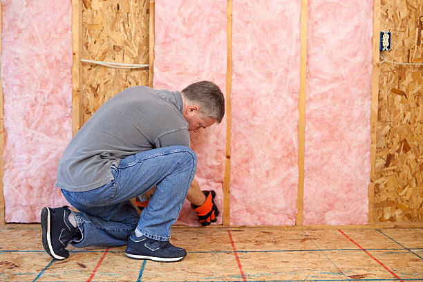 Best Professional Insulation Contractor  in Escanaba, MI